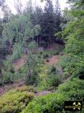 Granit-Steinbruch Lenk am Epprechtstein bei Kichenlamitz, Fichtelgebirge, Bayern, (D) (3) 25. Juli 2012.JPG